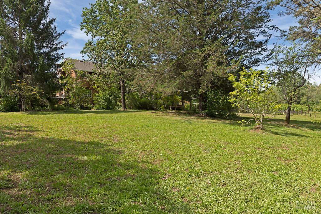 Property photo 46