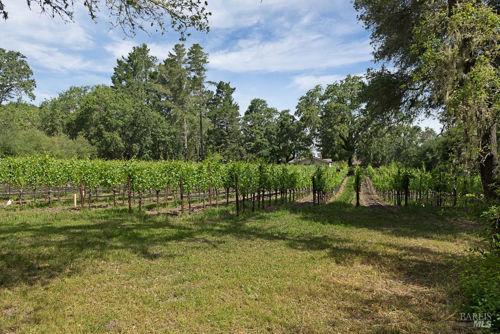 Property photo 49