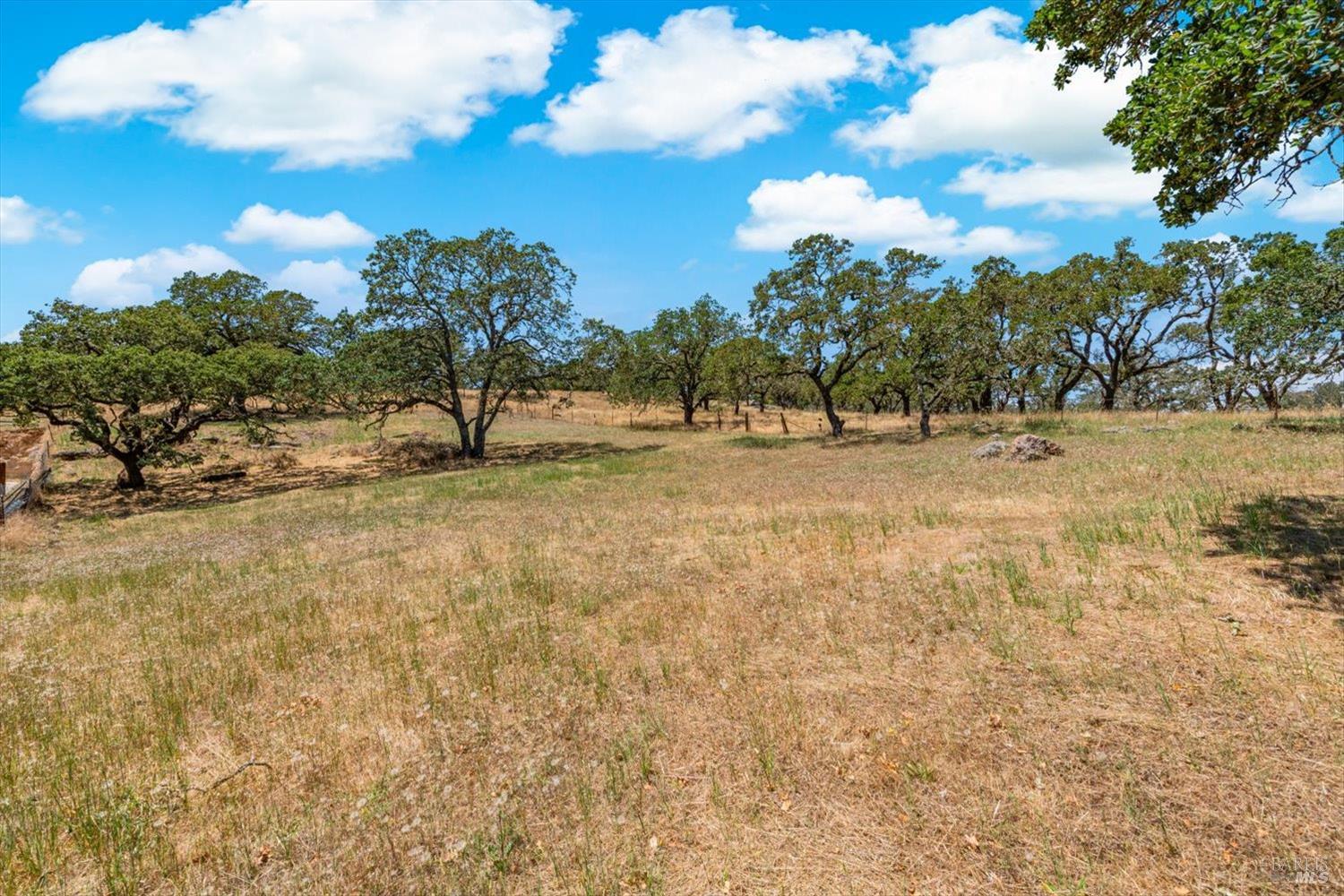 Property photo 48