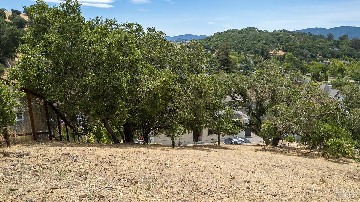 Property photo 49