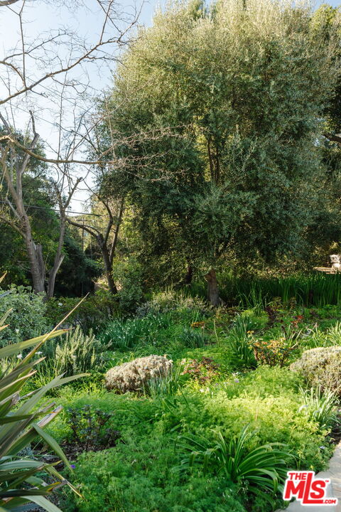 Property photo 41