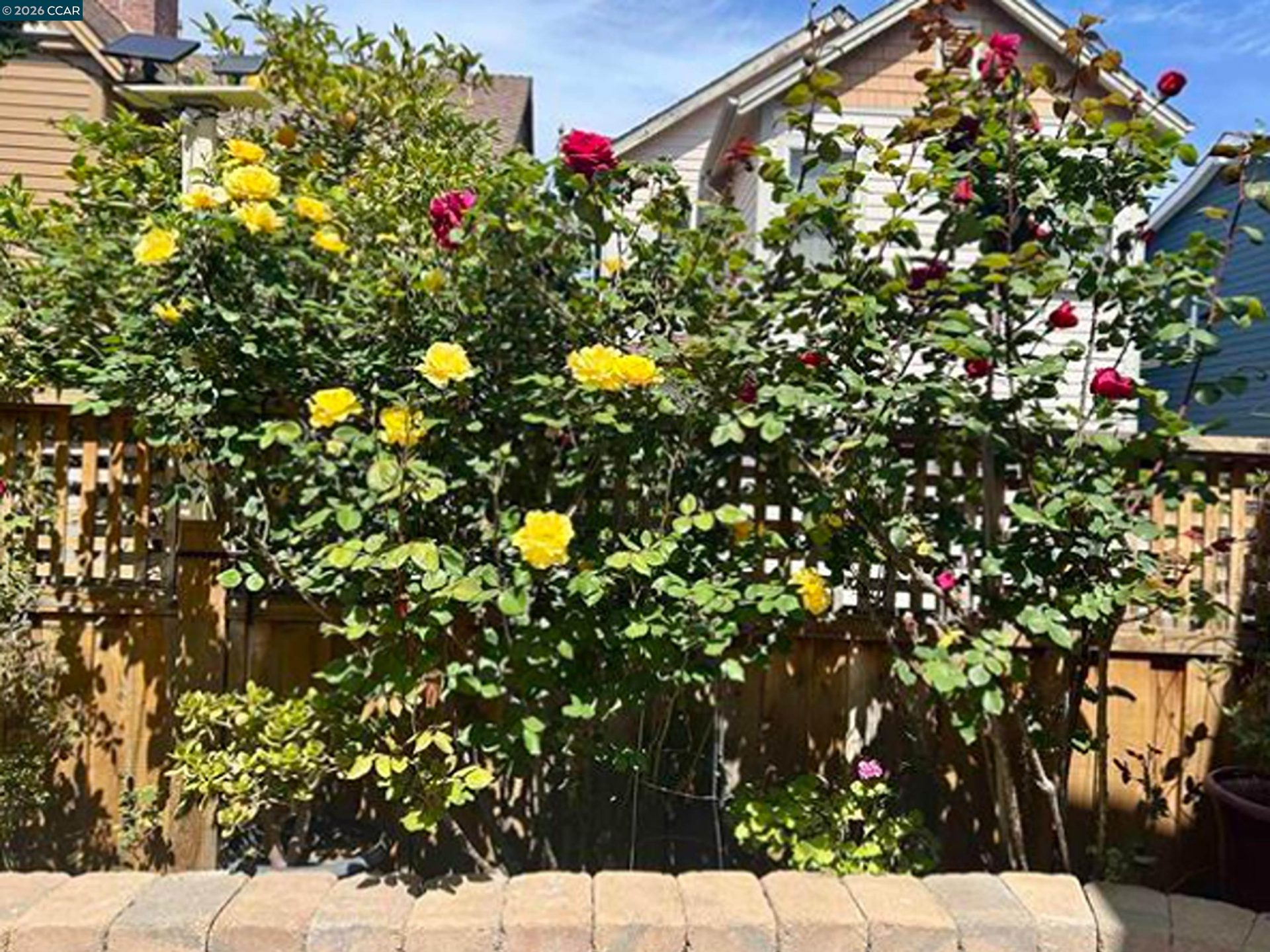 Property photo 26