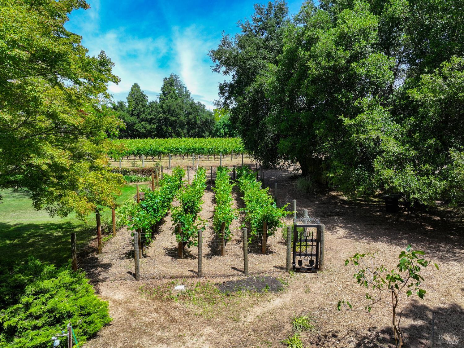 Property photo 16