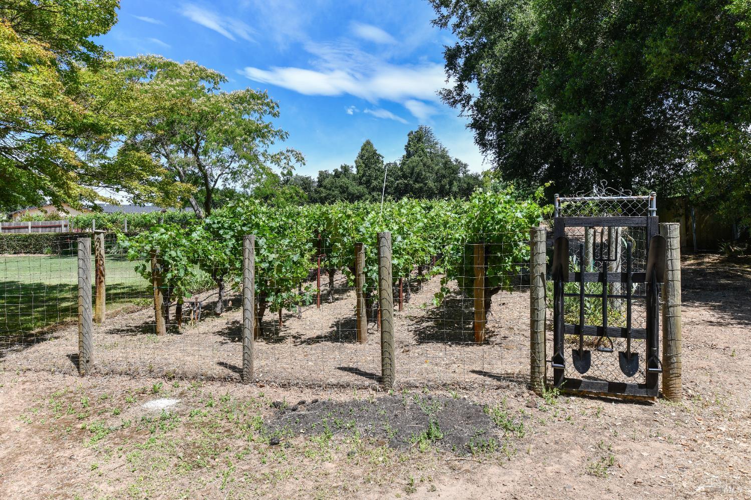 Property photo 17