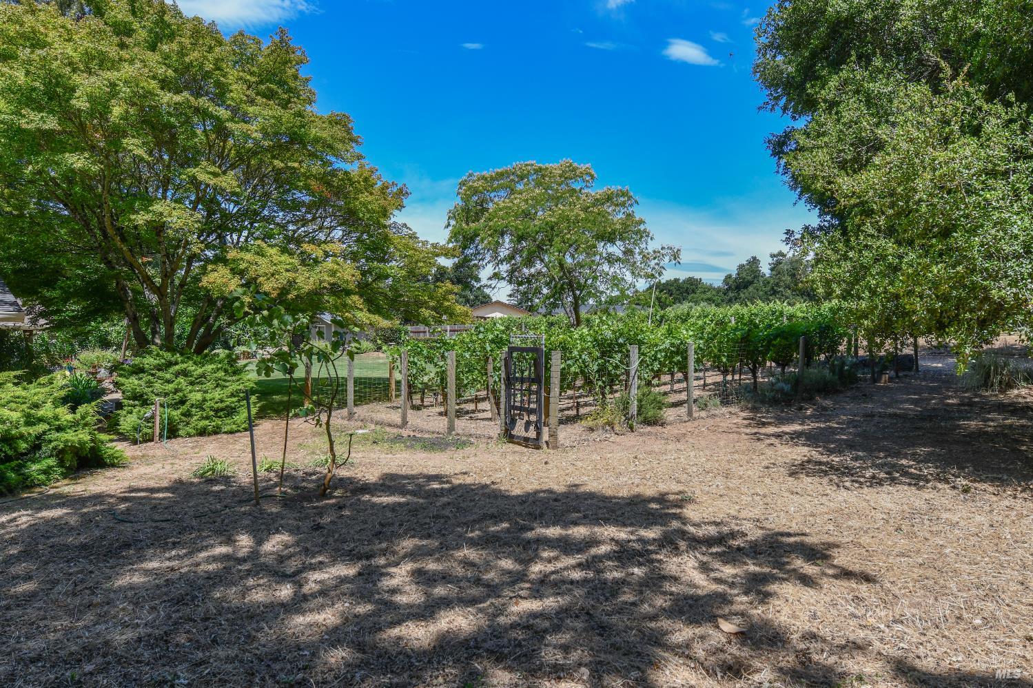 Property photo 18