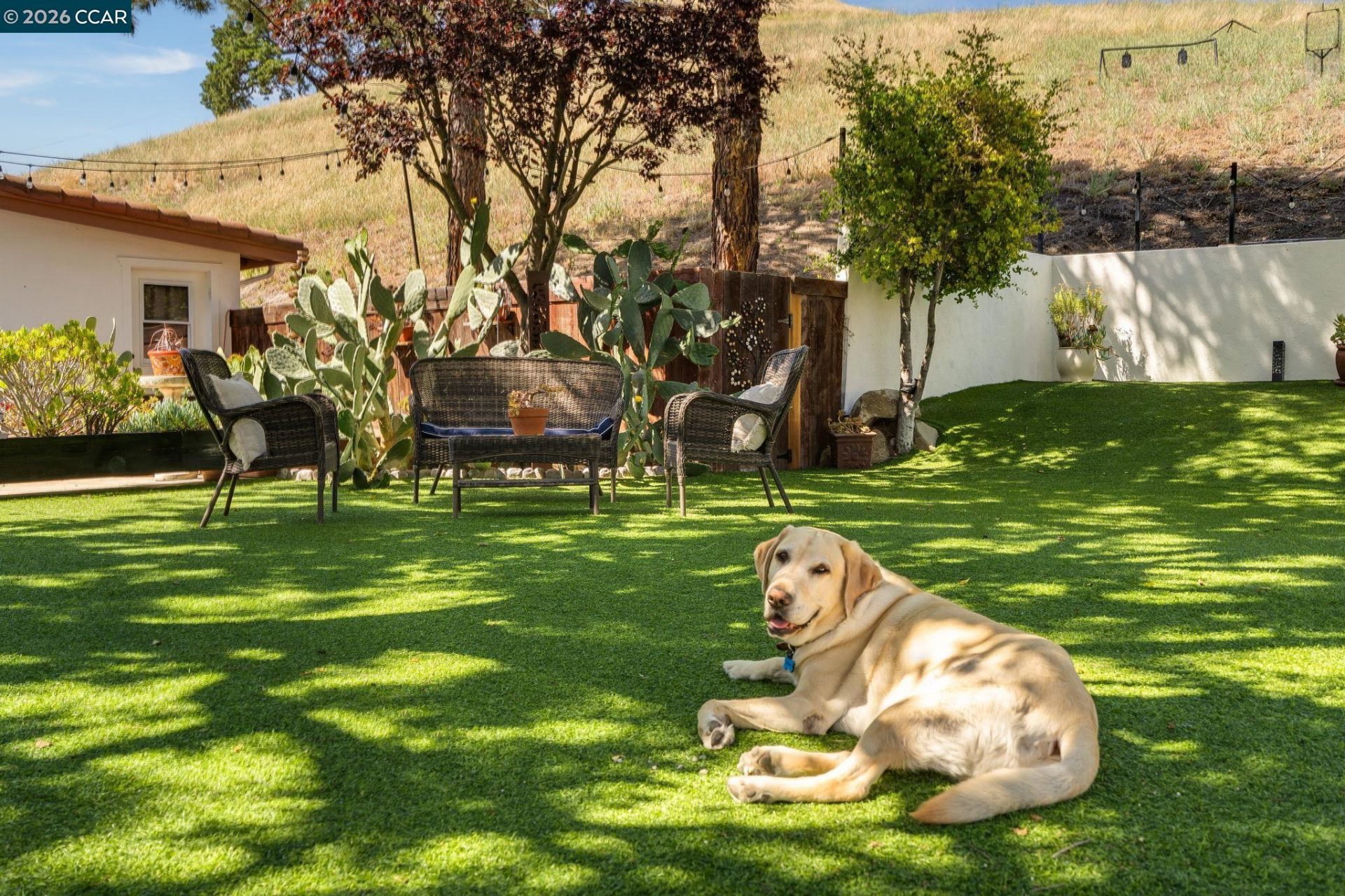 Property photo 47