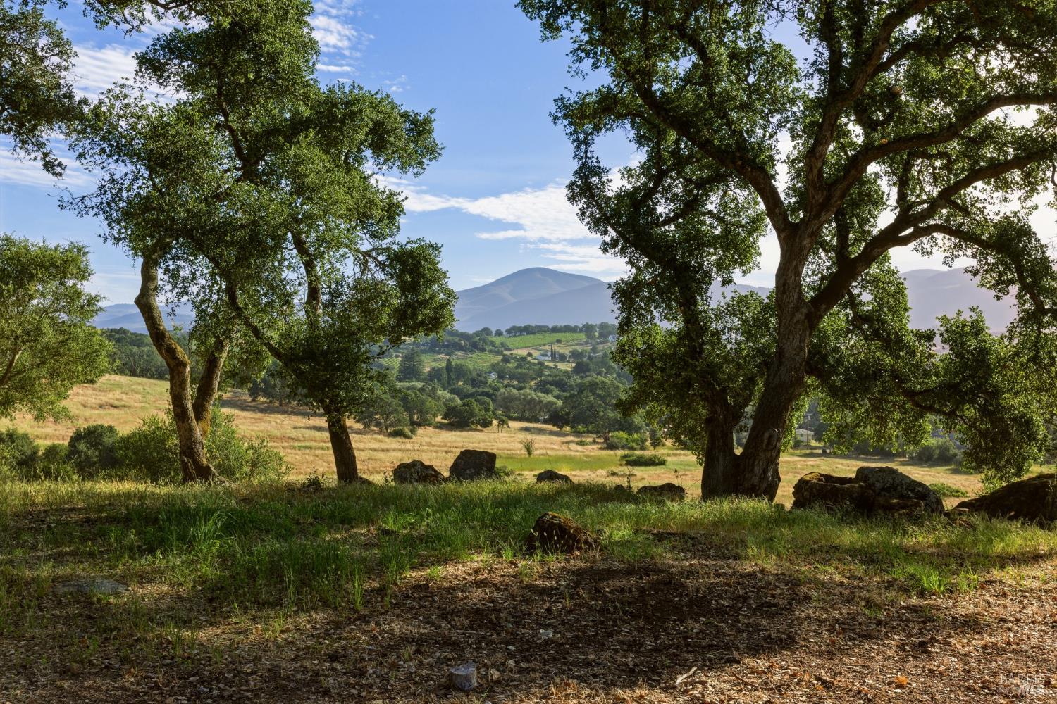 Property photo 48