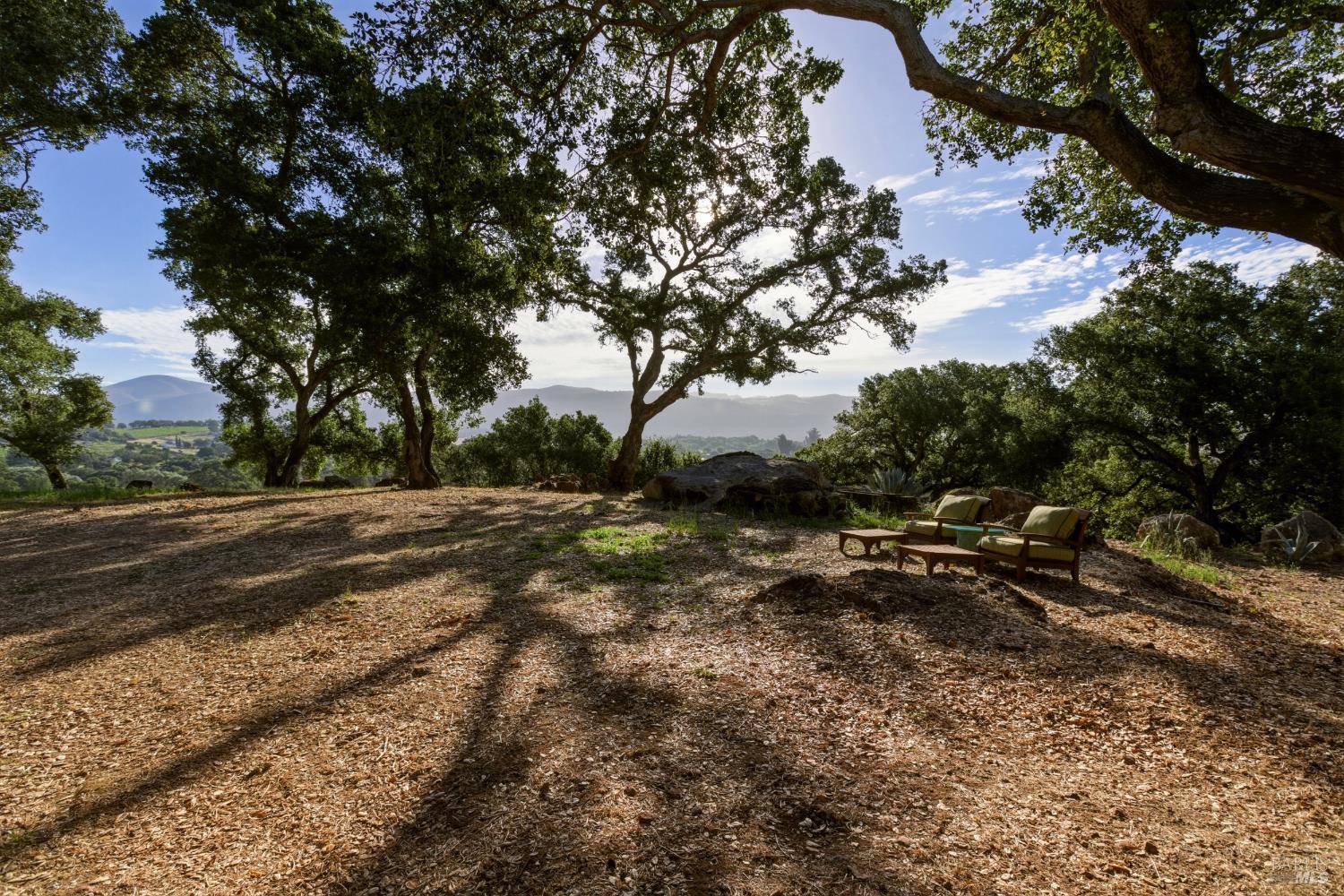 Property photo 49