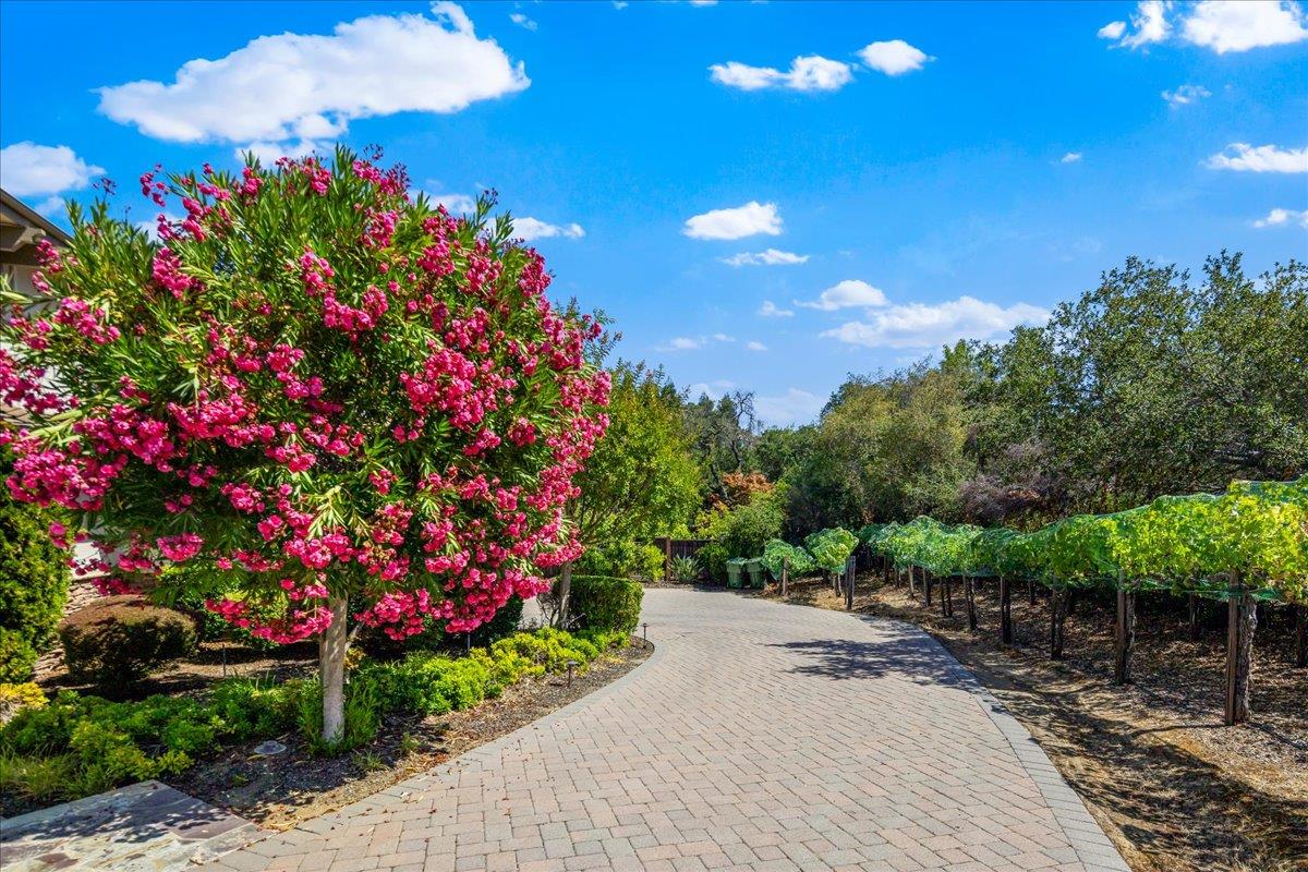 Property photo 35