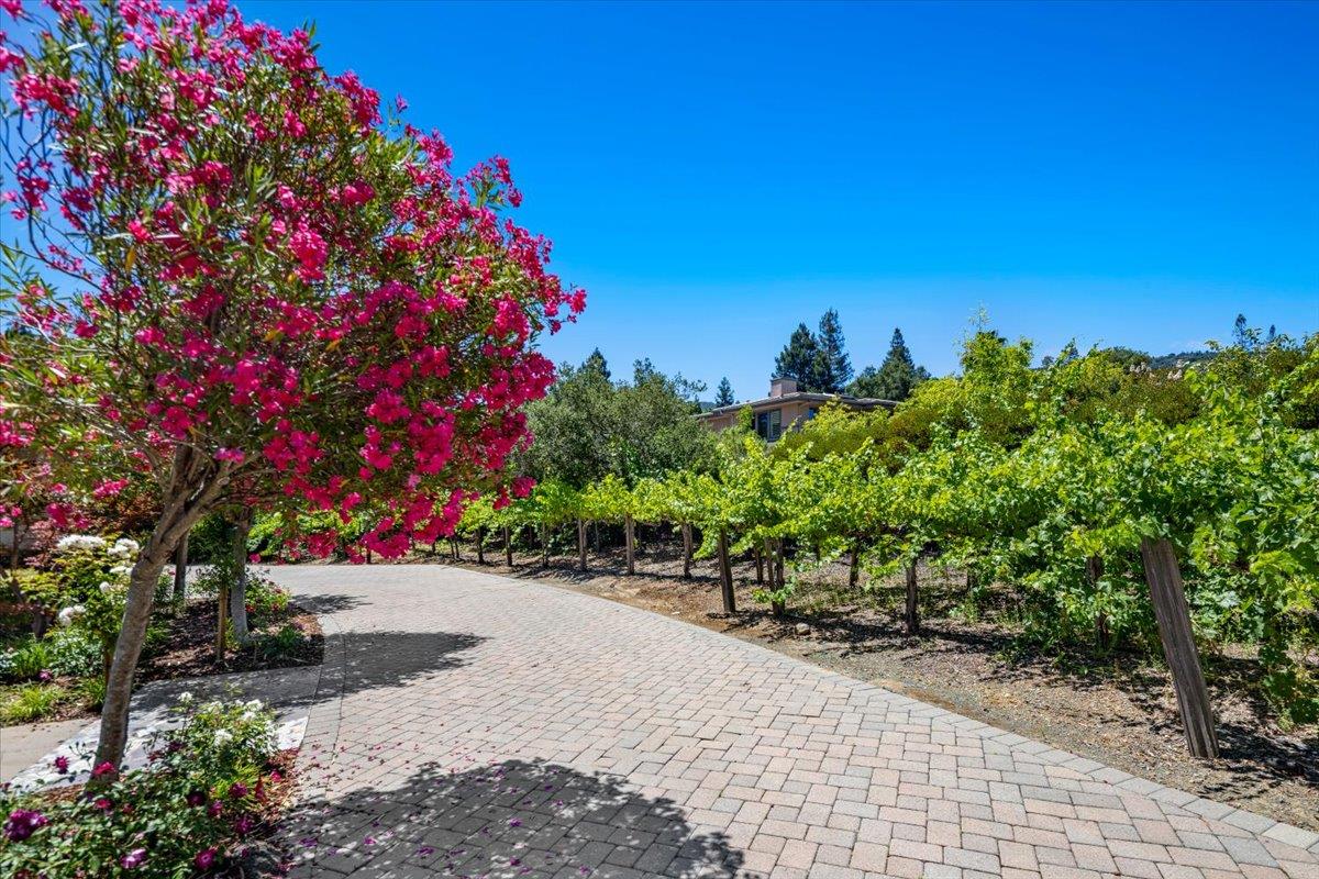 Property photo 41