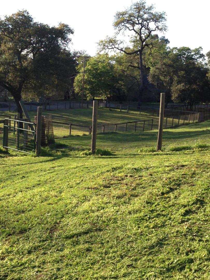 Property photo 19