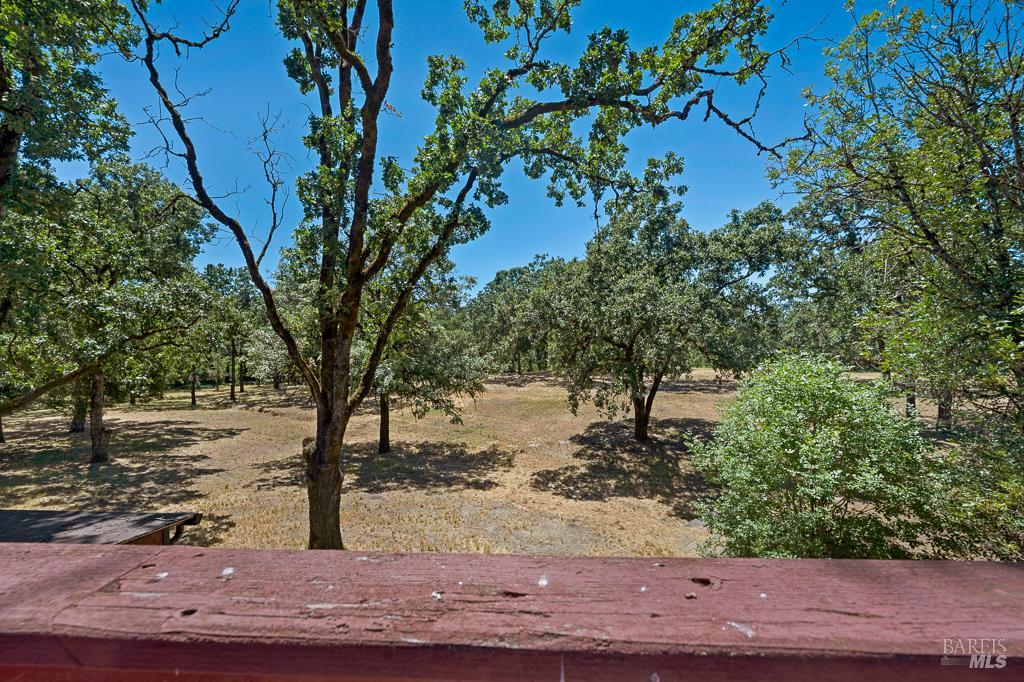 Property photo 49