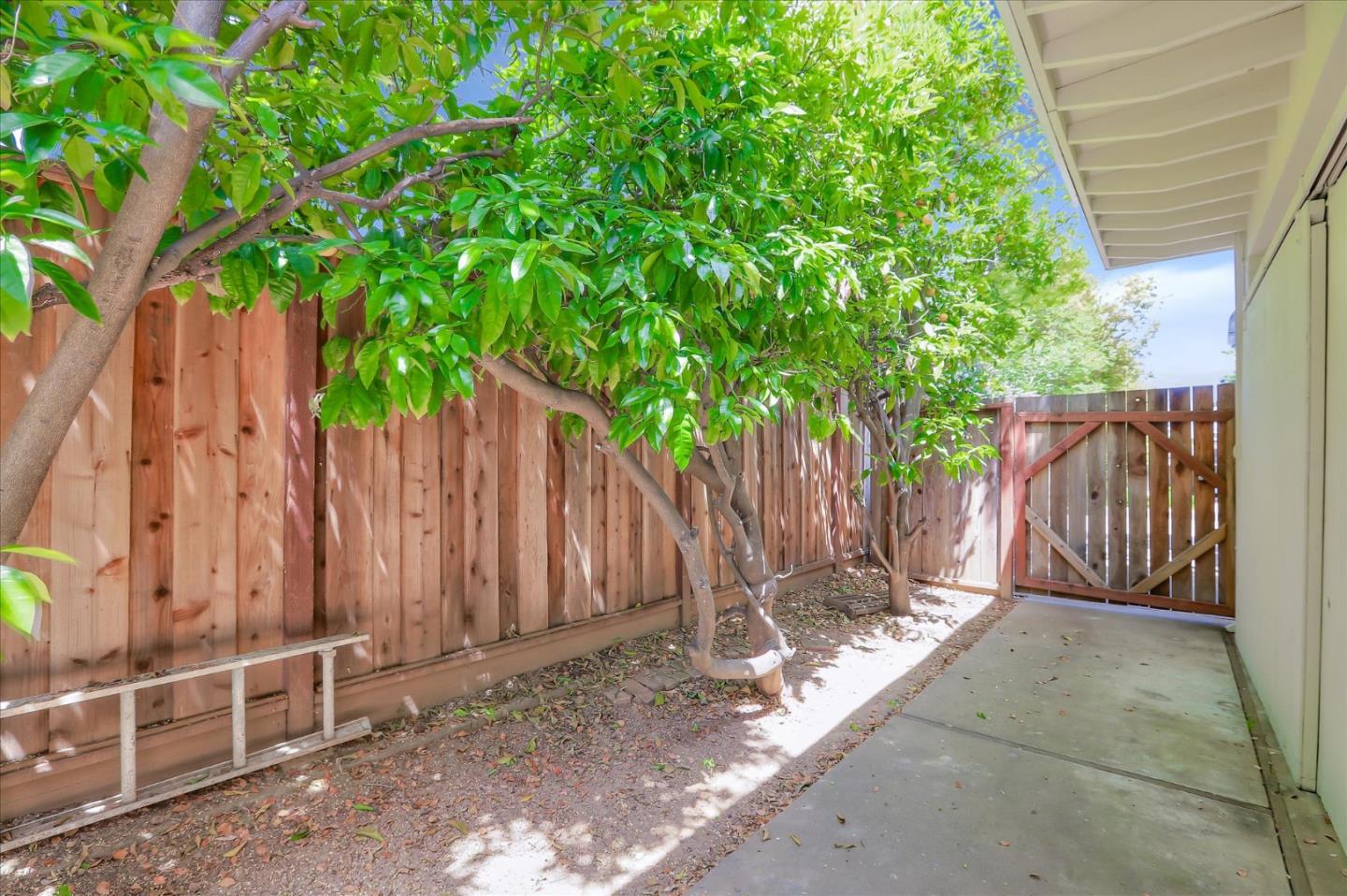 Property photo 36
