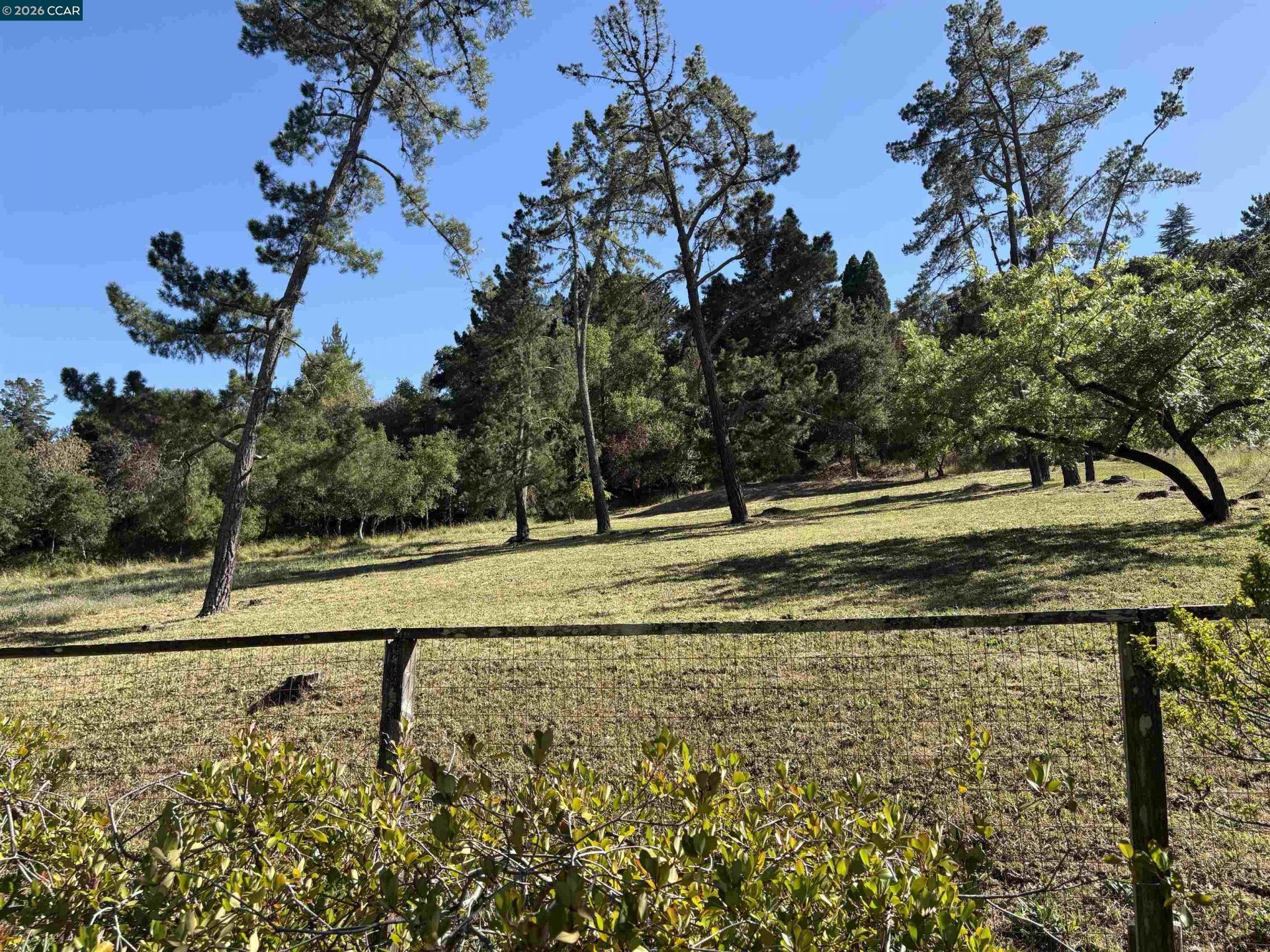Property photo 32