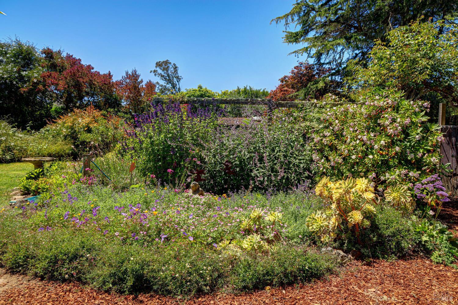 Property photo 46