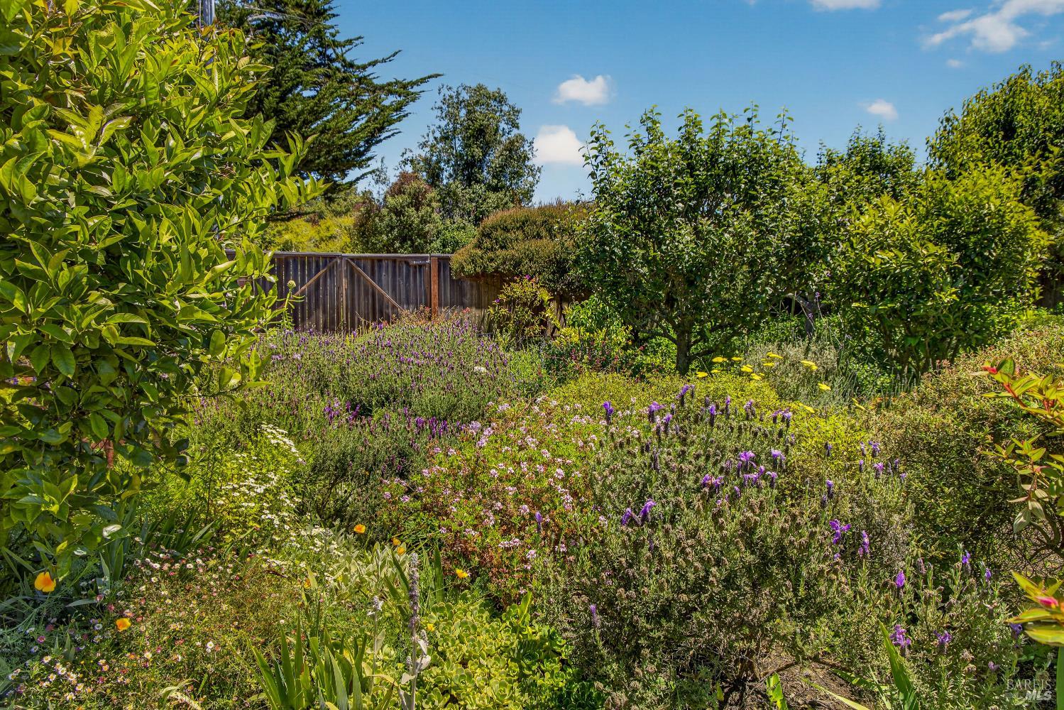 Property photo 47