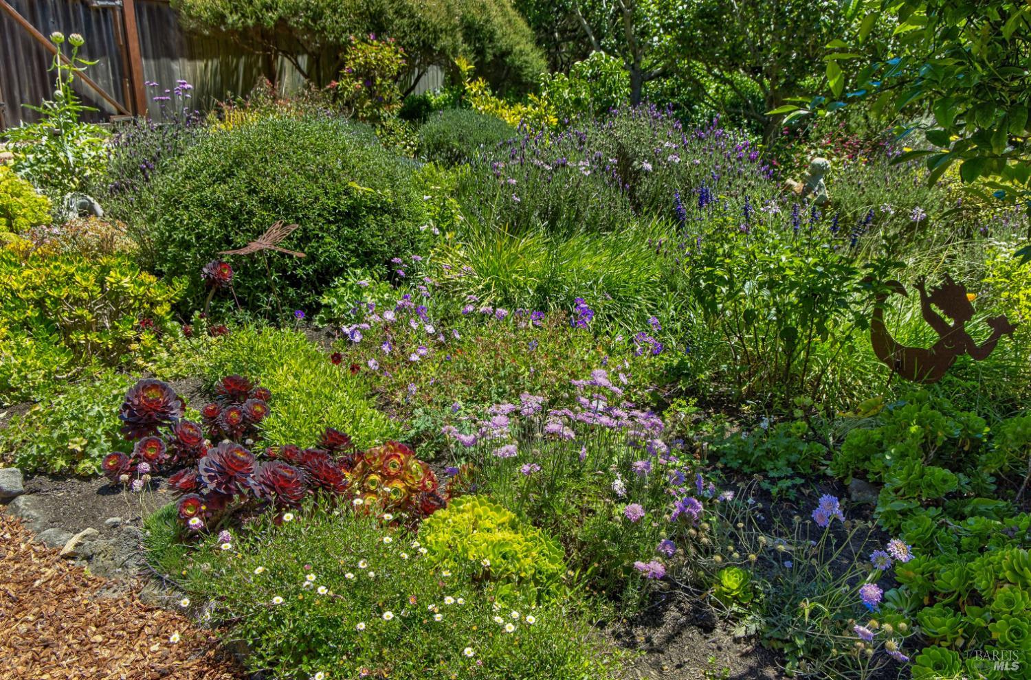 Property photo 49