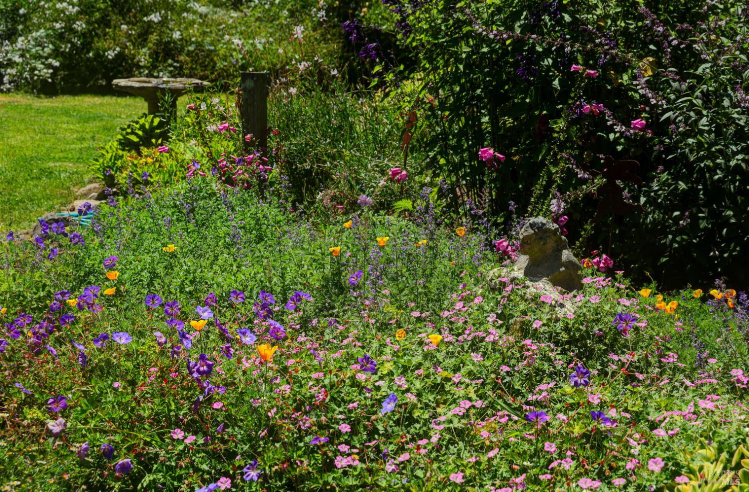 Property photo 50