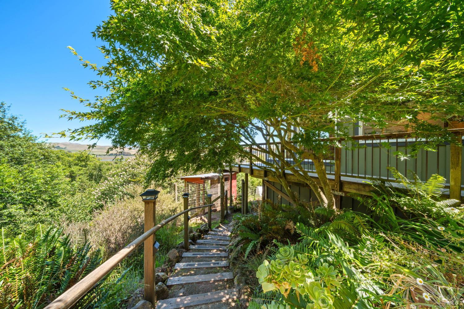 Property photo 51