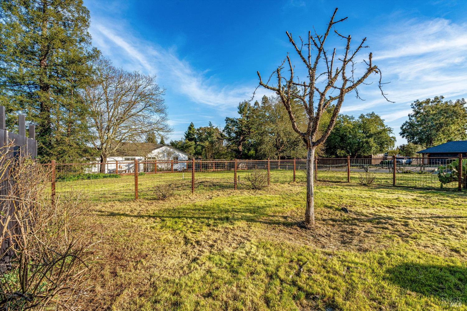 Property photo 47