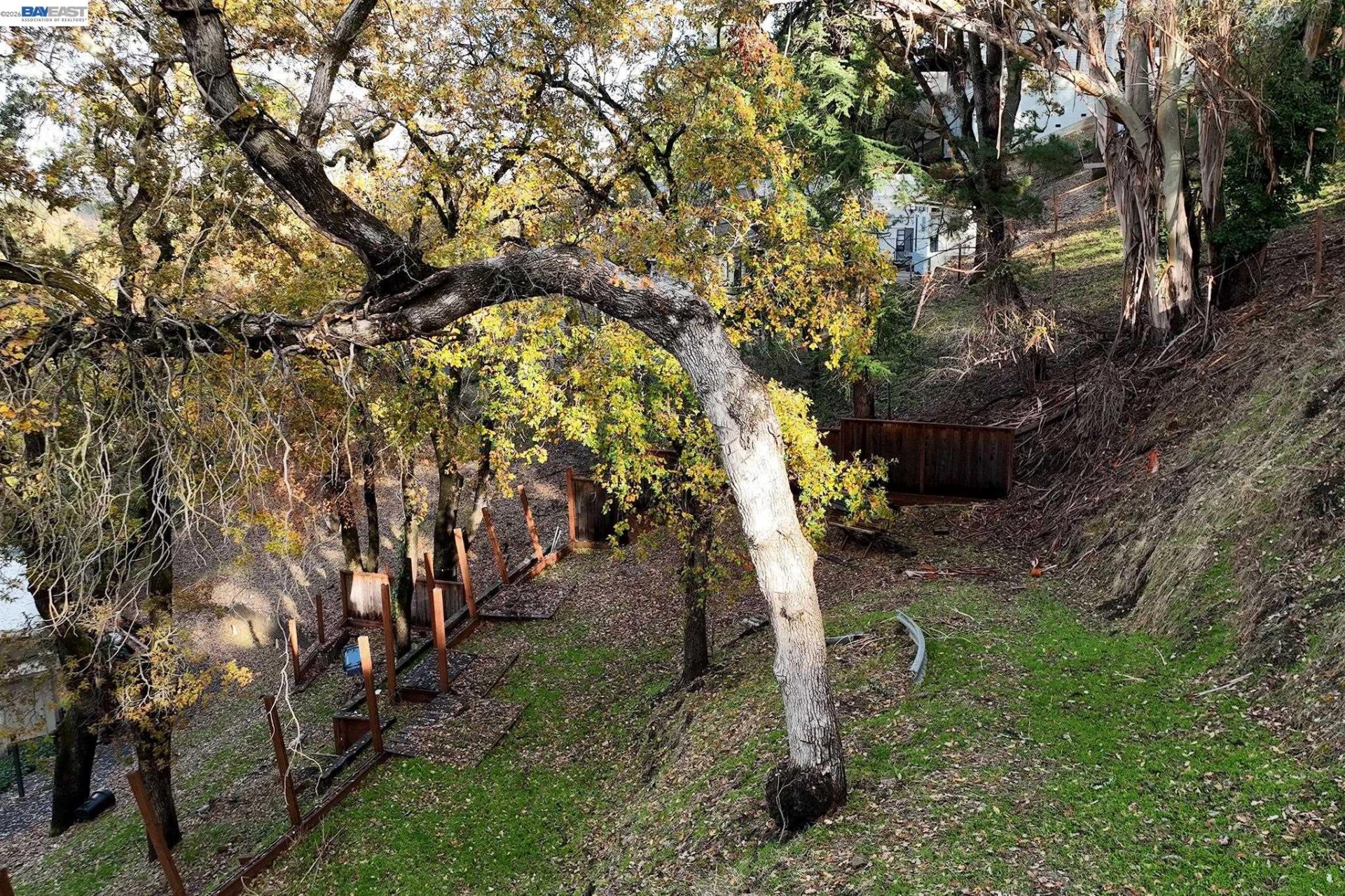 Property photo 21