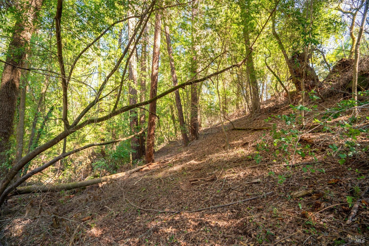 Property photo 20