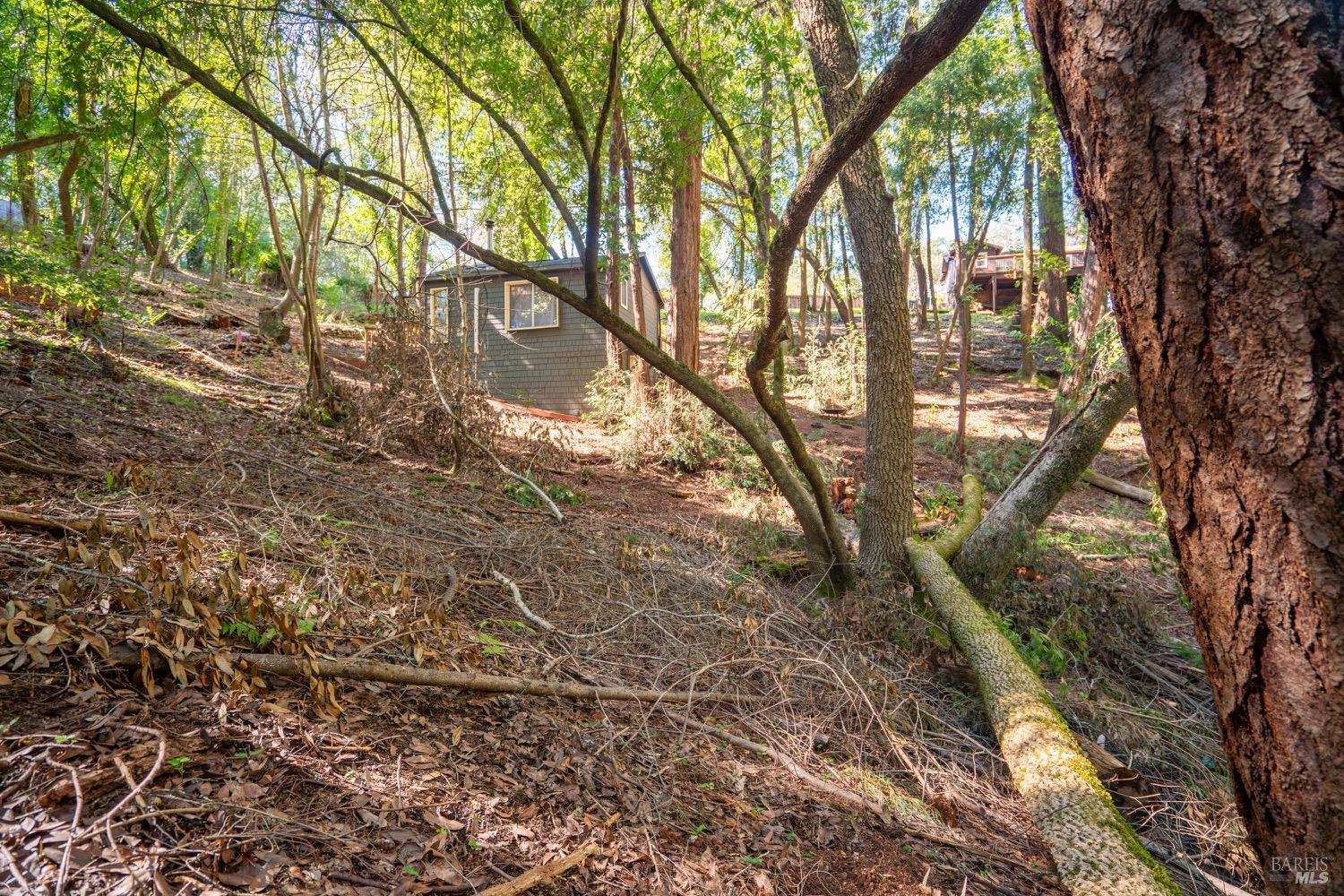Property photo 21