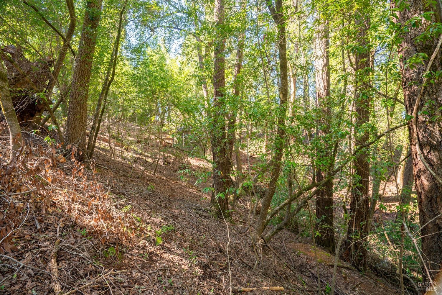 Property photo 23