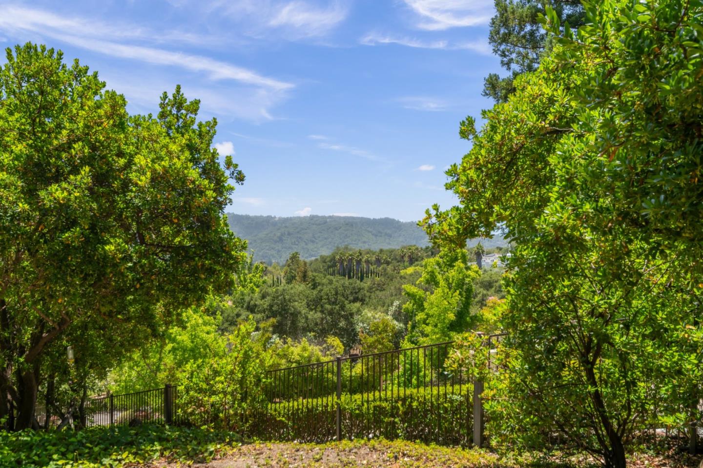 Property photo 31