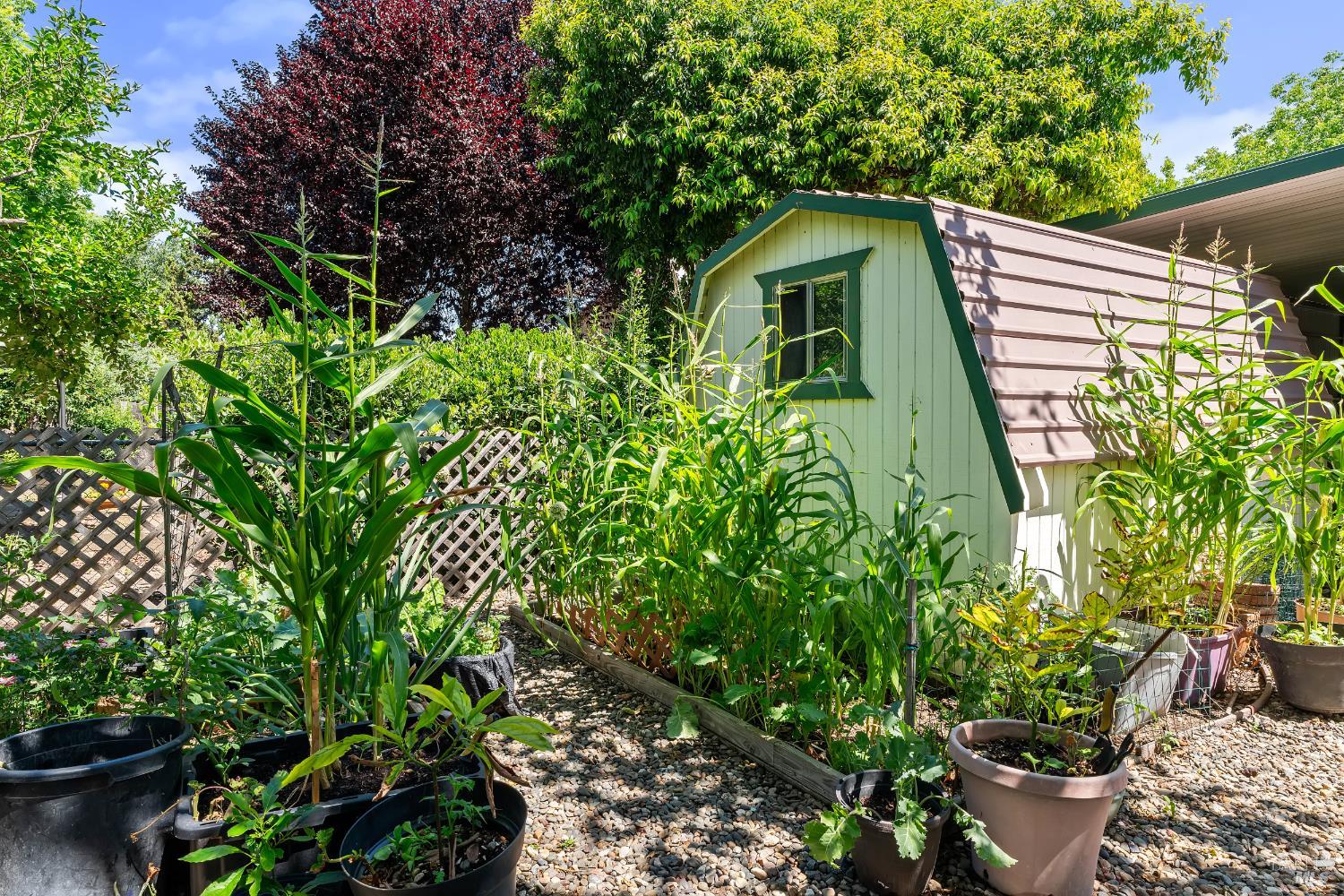 Property photo 36