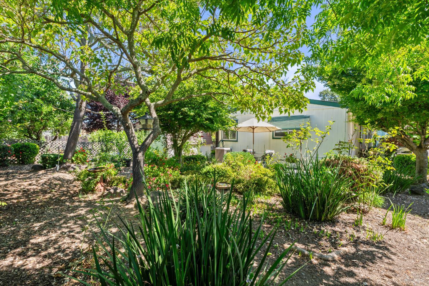 Property photo 39