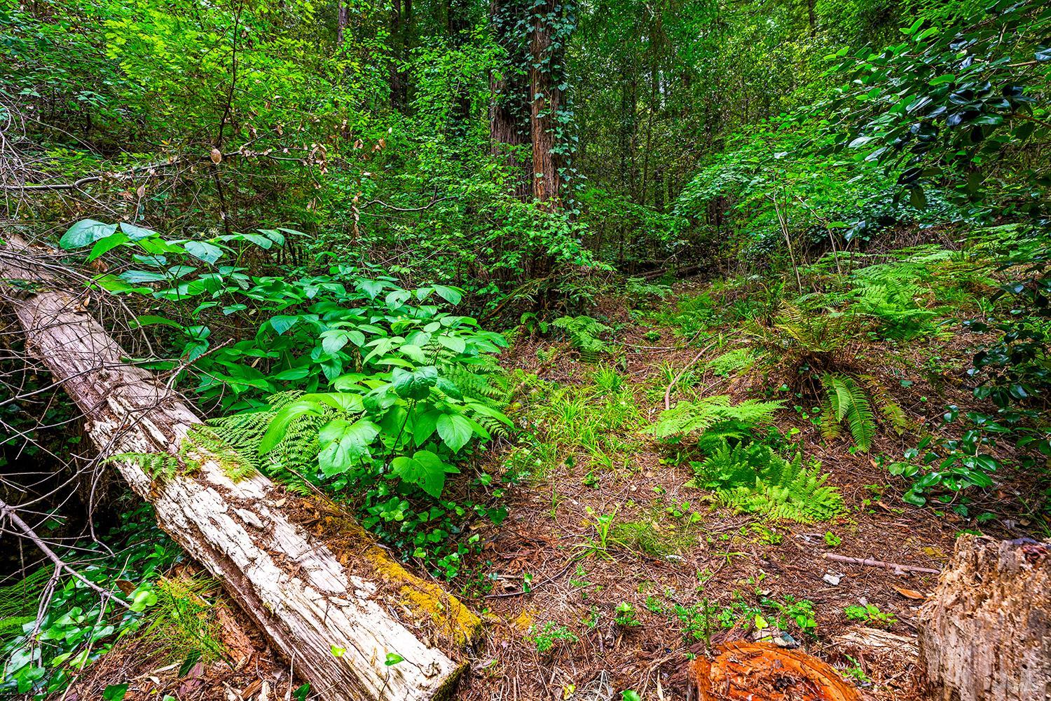 Property photo 25