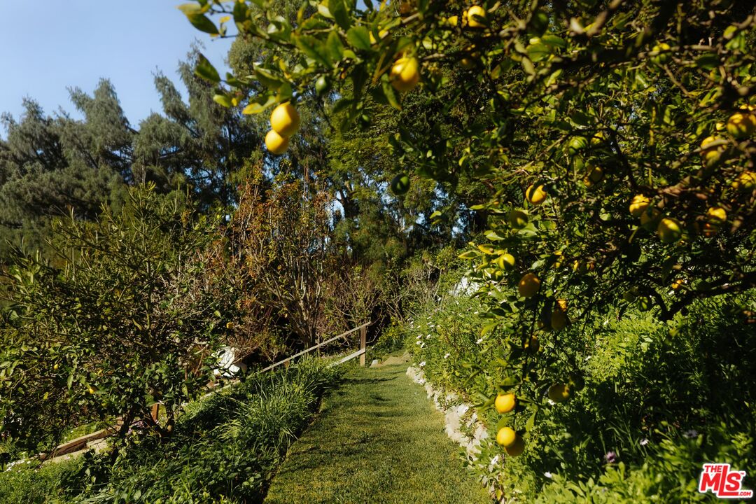 Property photo 41