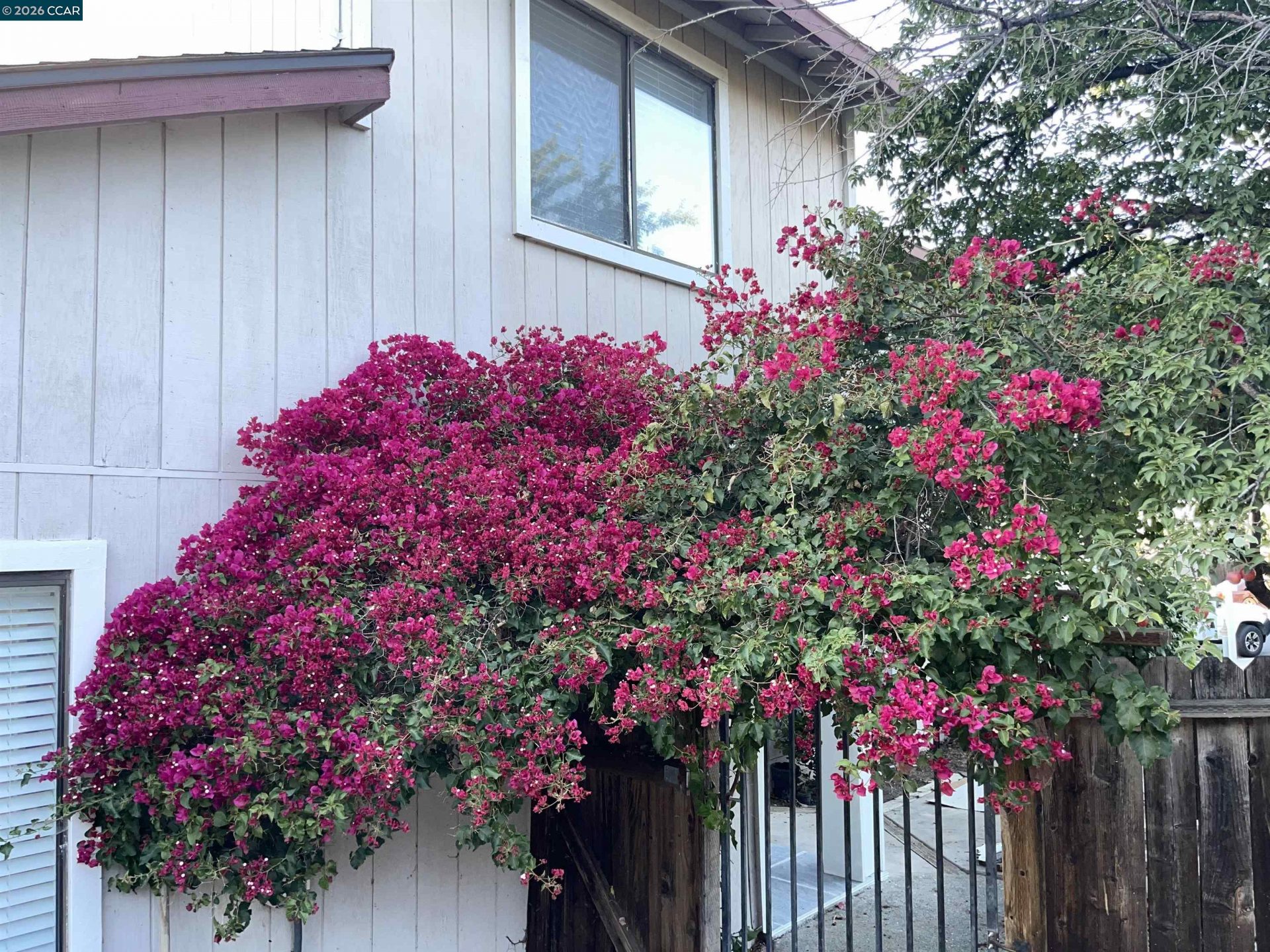 Property photo 46
