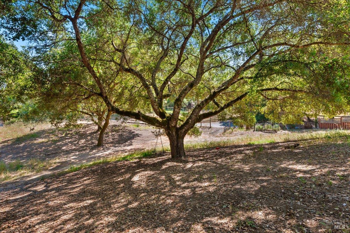 Property photo 45