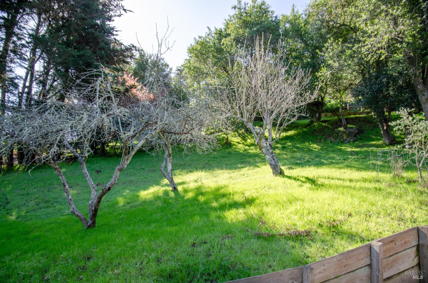 Property photo 16