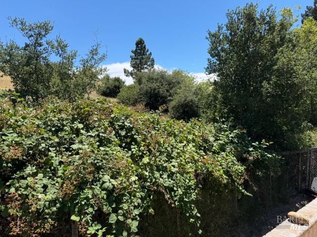 Property photo 43