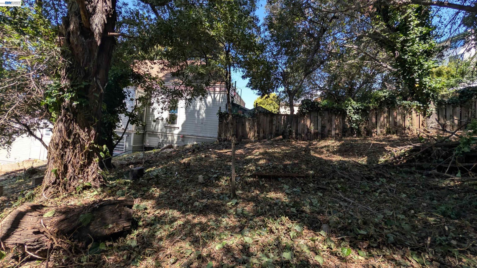 Property photo 21