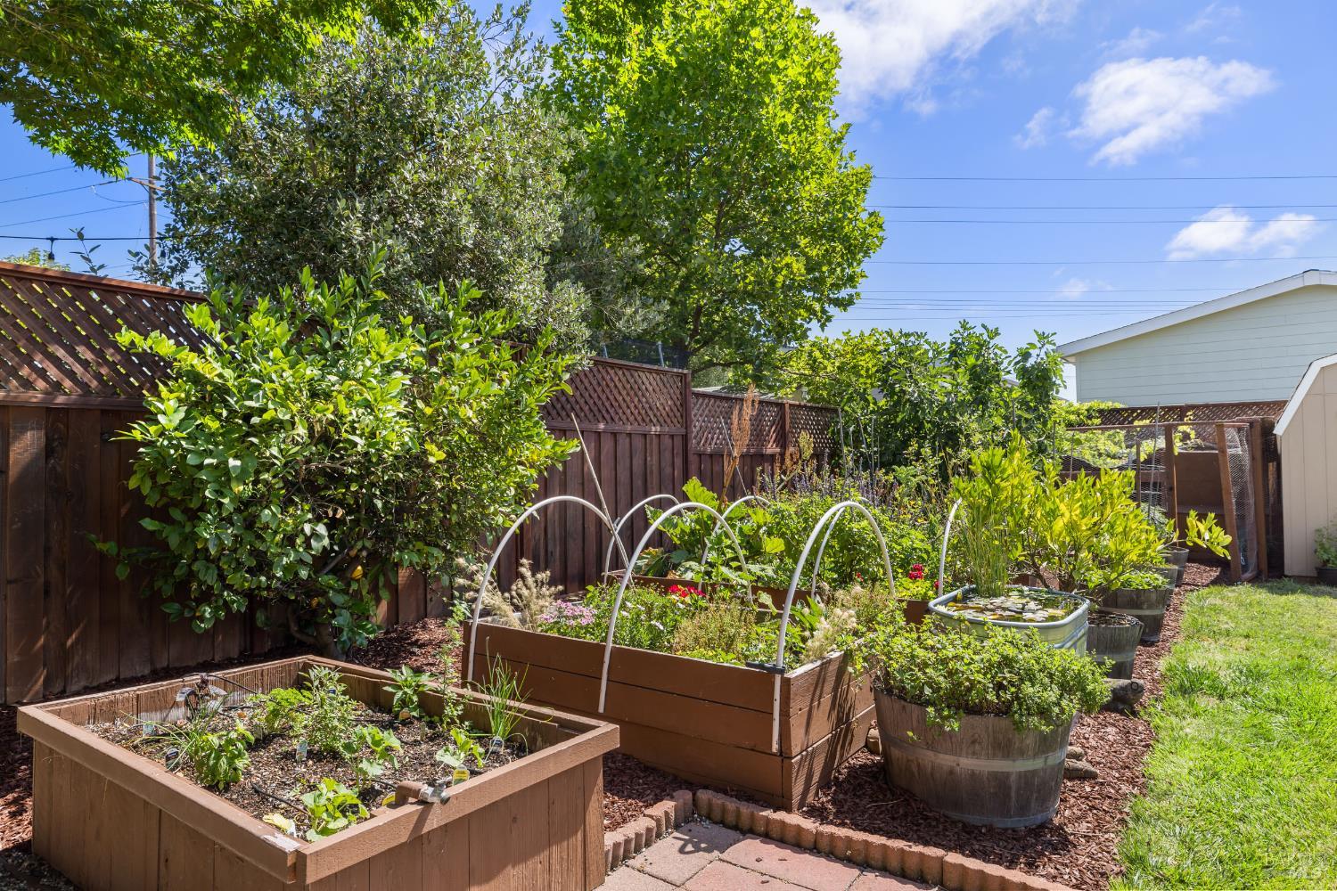 Property photo 31