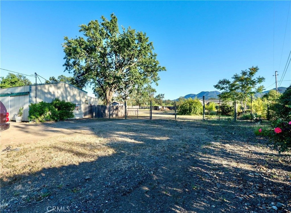 Property photo 39