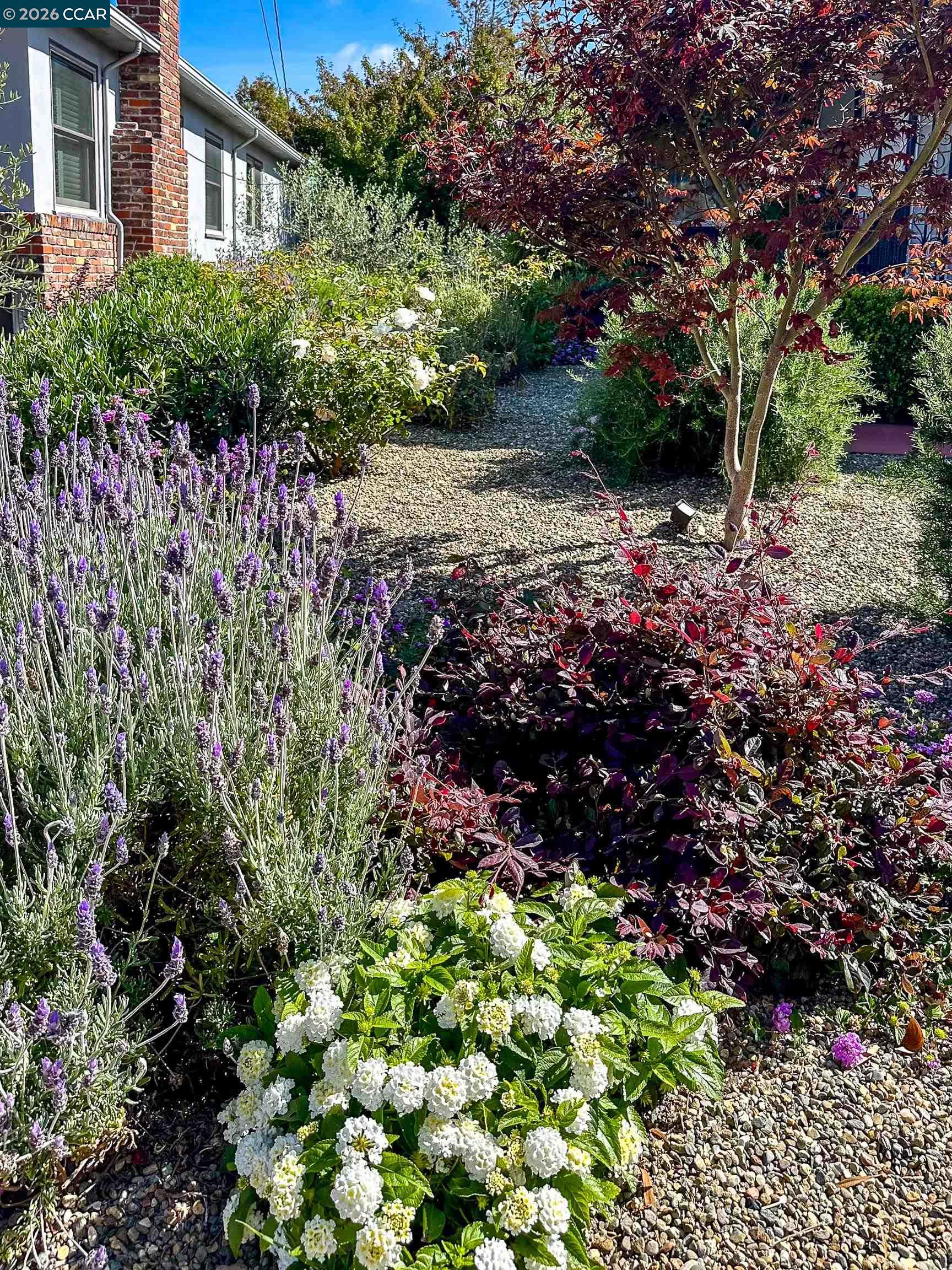 Property photo 49