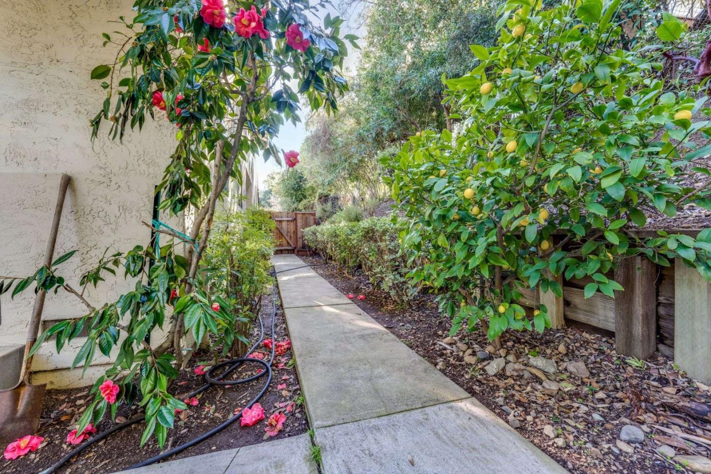 Property photo 42