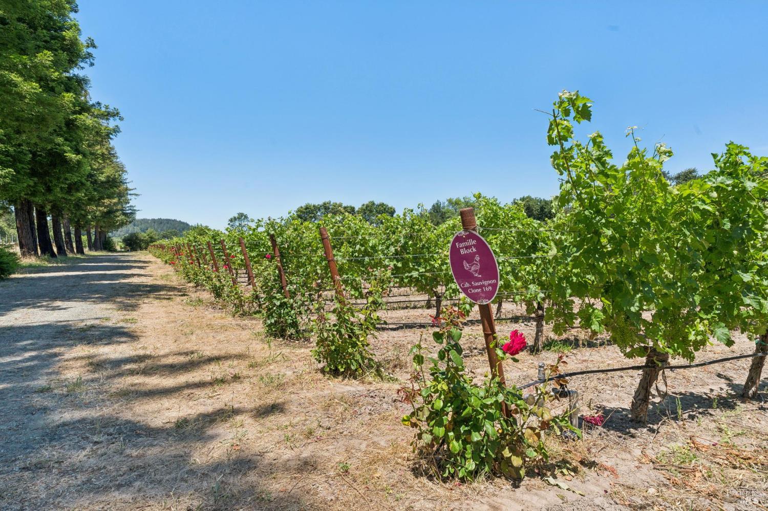 Property photo 15