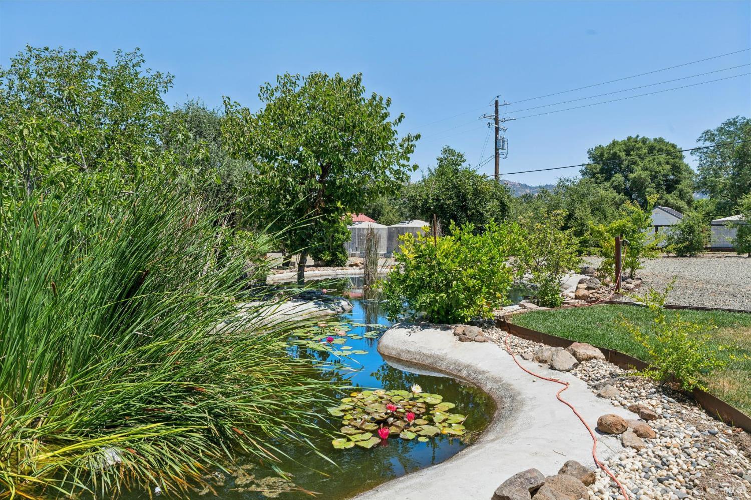 Property photo 24