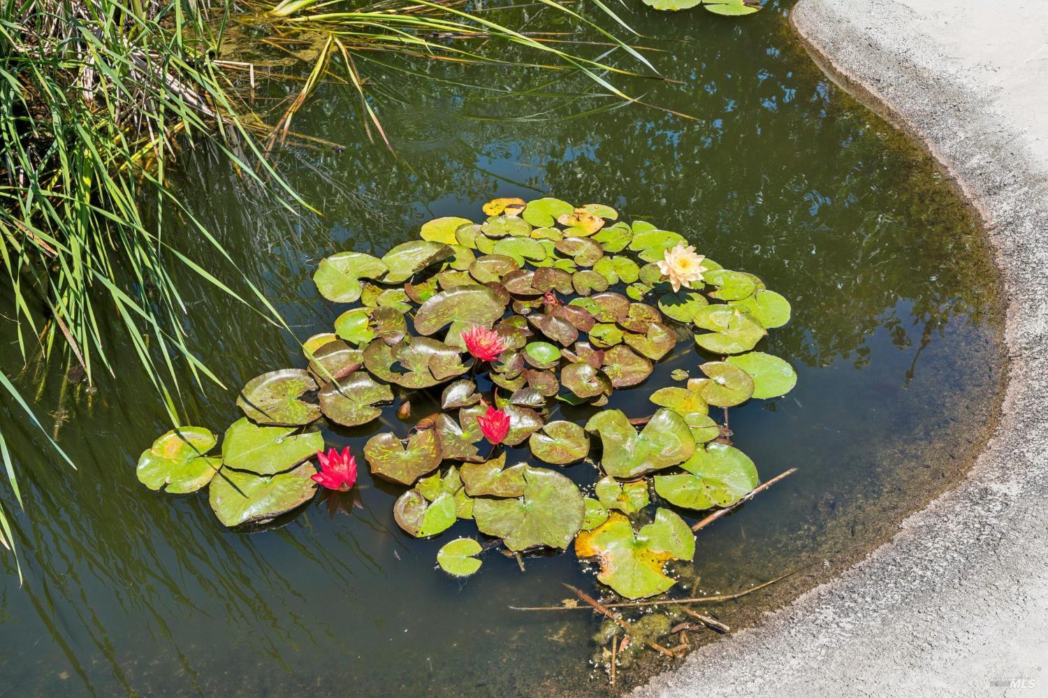 Property photo 27