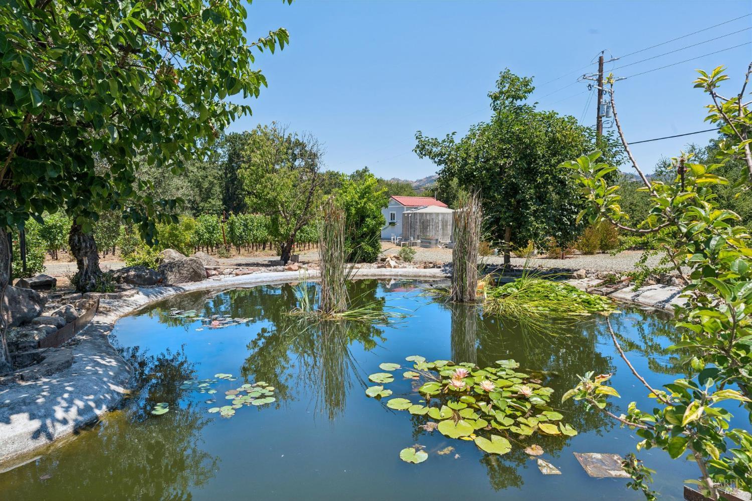 Property photo 28