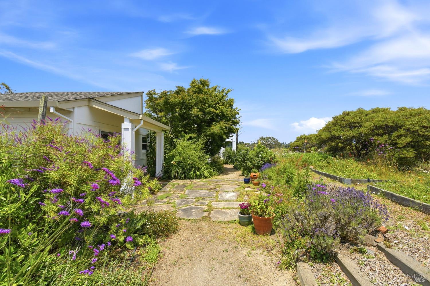 Property photo 42
