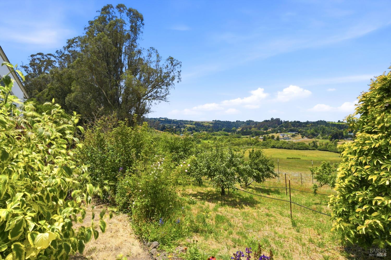 Property photo 43