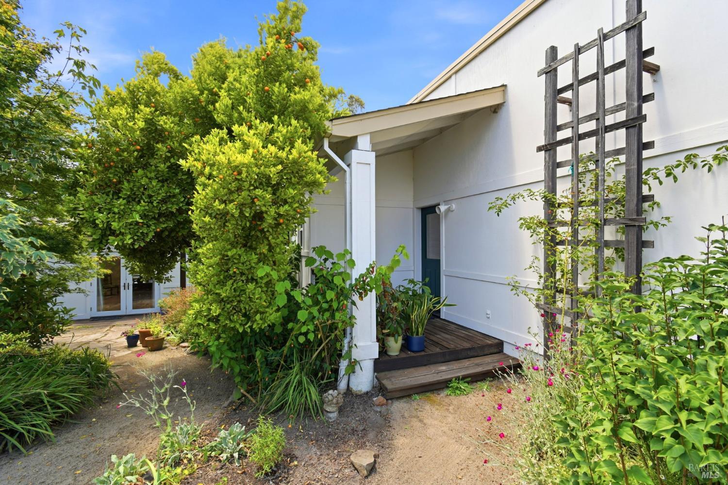 Property photo 44