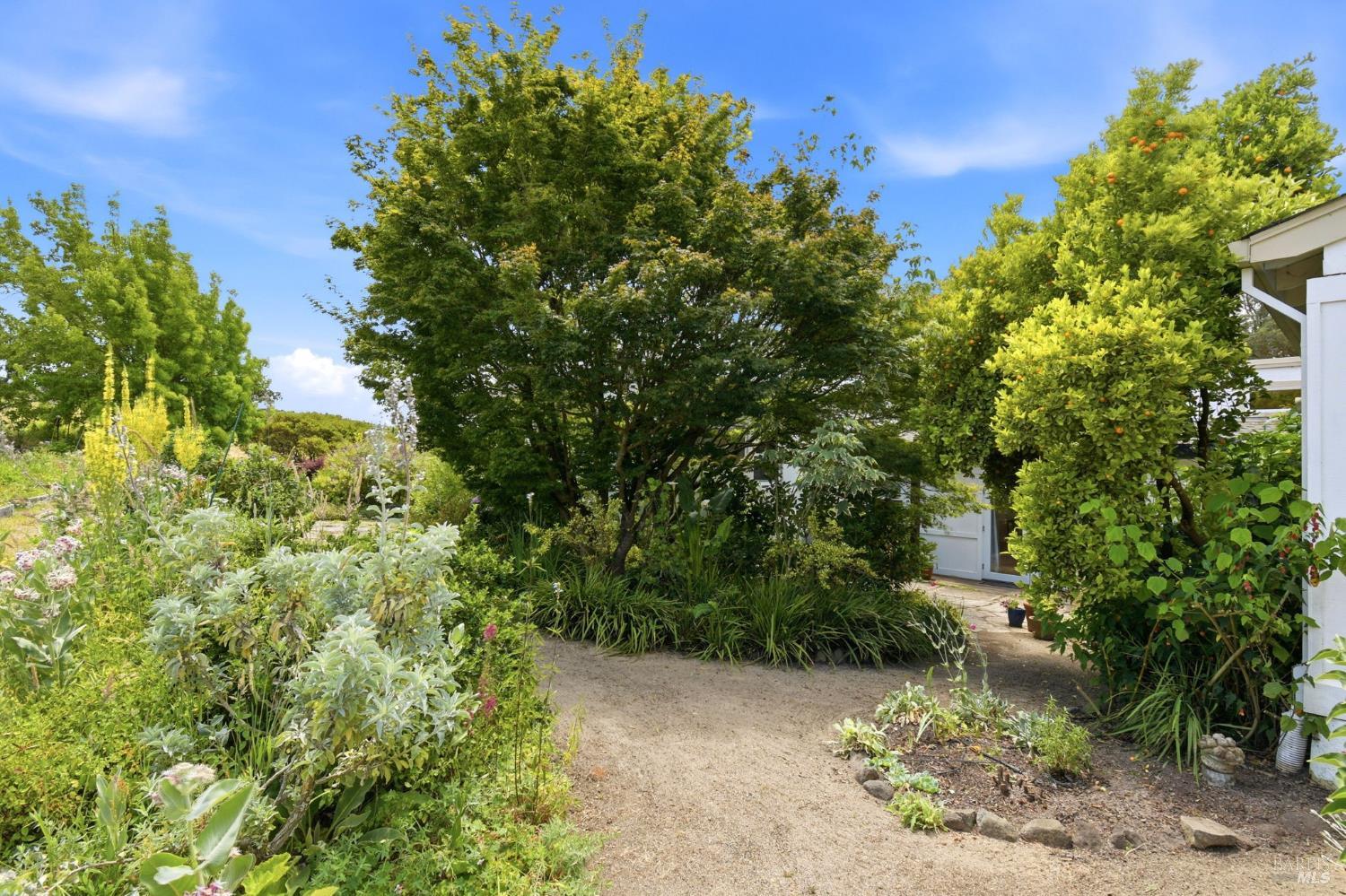 Property photo 45